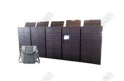 China Remote Manage Parcel Delivery Lockers Click And Collect supplier