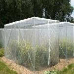 3x15m HDPE Mosquito Window Screen Used In Greenhouse Garden
