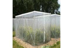 China 3x15m HDPE Mosquito Window Screen Used In Greenhouse Garden supplier
