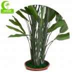 Hot Sale Artificial Bird Of Paradise Tree With Real Touch Leaves