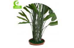 China Hot Sale Artificial Bird Of Paradise Tree With Real Touch Leaves supplier