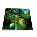LQ170E1LW22 17 Inch 1280*1024 TFT LCD Panel For Gaming for sale