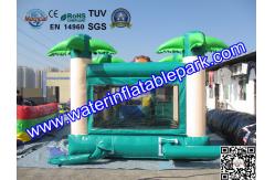 China PVC Tarpaulin Inflatable Jumping Bouncy For Commercial Rental supplier