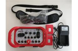China Ce Certification 100m Remote Wireless Controller For Crane Industrial Radio Remote Control supplier