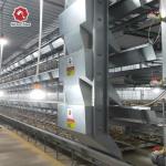 Fully Automatic Broiler Chicken Poultry Cage Farm Equipment H Type Animal for sale