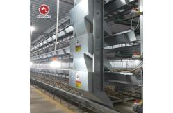 China Multi Tier Automatic Poultry Feeding System For Broiler 1800x1200x410mm Size supplier
