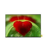 B133HAN05.C 13.3 inch 30pins 1920*1080 LCD Display Module for sale