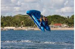 China Yellow 0.9mm PVC tarpauli Inflatable Flying Fish Boat With Handles supplier