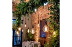 China Anti Aging Artificial Potted Plants Green Leaf Bar Music Restaurant Hanging Window Ceiling supplier