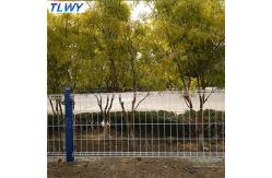 China 50*150mm Double Loop Wire Garden Welded Mesh Fencing Electro Galvanizing supplier