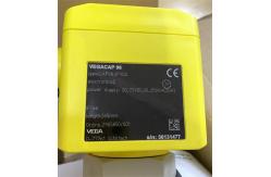 China VEGACAP VEGA Instrumentation 98 Capacitive Rod Probe For Level Detection CAP98.XPYDS supplier