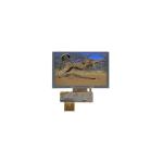Original HannStar LCD Screen Display Panel 4.3 Inch HSD043I9W1-A00 for sale
