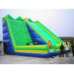 Inflatable Amusement Park , 8m Green Rock Climbing Wall With Slide For Rental for sale