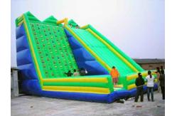 China Inflatable Amusement Park , 8m Green Rock Climbing Wall With Slide For Rental supplier
