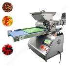 Automatic Bear Gummy Depositor Gummy Making Machine Small Chocolate Candy Making Machine for sale