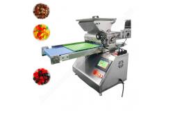 China Automatic Bear Gummy Depositor Gummy Making Machine Small Chocolate Candy Making Machine supplier