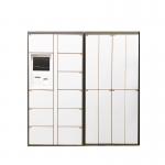 CRS Steel Dry Cleaning Locker For Laundry Business With Wifi 3G Internet Connected for sale