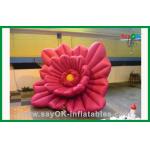 Large Red Custom Inflatable Products for sale