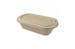 China Biodegradable Disposable Sugarcane Bagasse takeaway Containers Box supplier