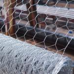 Galvanized Chicken Hexagonal Wire Mesh Fencing Poultry Netting for sale