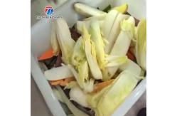 China Commercial Automatic Eggplant Cabbage Melon and Fruit Splitting Machine Food Processor supplier