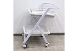 China Endoscopy Cart With 2 Trays Mobile Endoscope Trolley For Clinics Hospitals supplier