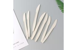 China Ecofriendly PLA Disposable Tableware Fork Spoon And Knife Set Compostable Cutlery supplier