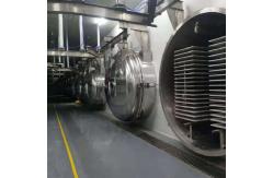 China 50kg Vacuum Freeze Drying Machine Large Scale Freeze Dryer 12 Trays supplier