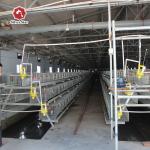 Q235 Chicken Cages Poultry Farming Equipment 3-6mm Thickness for sale