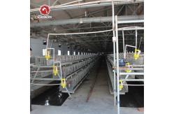 China Poultry Farm Steel Structure Chicken Coop Heat Preservation supplier