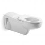 Ceramic Sanitary Ware Disabled Toilet Set Wall Hung For Disable People for sale