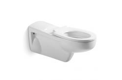 China Ceramic Sanitary Ware Disabled Toilet Set Wall Hung For Disable People supplier