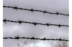 China Use Of Prison Walls Double Twisted PVC Coated /Galvanized Barbed Wire Coils supplier