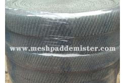 China Package 100 Mm Width Crimped Knitted Wire Mesh supplier