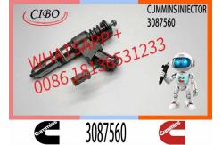 China 3087733 Diesel Fuel Injector N14 Common Rail Injector 3087560 3411752 3411765 supplier