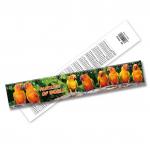 Wholesale 3D Lenticular Printing Plastic Ruler Lenticular Printing Ruler Accept Custom Size Design for sale