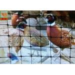 Black Plastic Chicken Netting , Plastic Poultry Netting, Plastic Poultry Fence,  1.5M High, BOP Nettings for sale