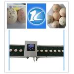 Smart Egg Printing Machine With Touch Screen , Thermal Inkjet Printer For Eggs