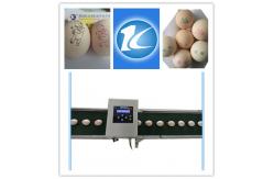 China Smart Egg Printing Machine With Touch Screen , Thermal Inkjet Printer For Eggs supplier