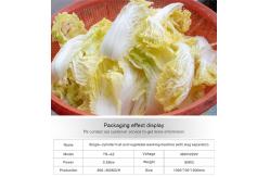 China Advanced Fruit And Vegetable Processing Line for Your Processing Needs supplier