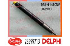 China 28599713 DELPHI Common Rail Fuel Injector 1100100XED95 1100100X-ED95 supplier