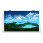 5.8 inch LTA058B302A 80PPI LCD Display Module for sale