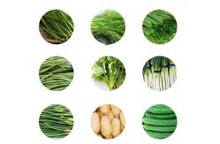 China Small Fruit Vegetable Processing Machine Multifunctional Green Onion Cutter supplier
