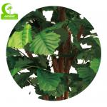 H180cm lifelike Artificial Potted Floor Plants With Nature Trunk