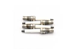 China Generator Spark Plug For Jenbacher 462203 supplier