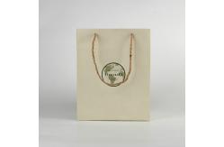 China Recycled Custom Paper Shopping Bag packaging design solutions supplier