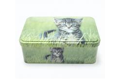 China CMYK EN71 Rectangle Biscuit Tin Box With Logo Printed supplier