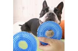 China Donut Shape Squeaky Pet Chew Toys For Dog Training Fetching Teething supplier