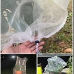 Customized Garden Plant Netting Bag For Fruits And Vegetables Ventilated & Hygienic