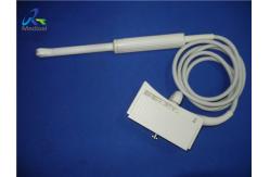 China Siemens EV-8C4 Ultrasound Transducer Probe Endocavitary supplier